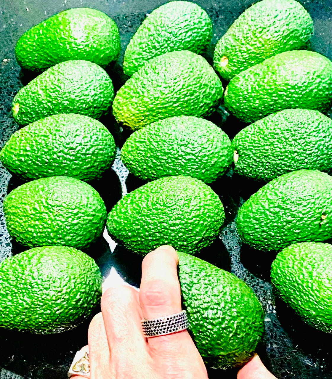 Six Organic Hass Avocados